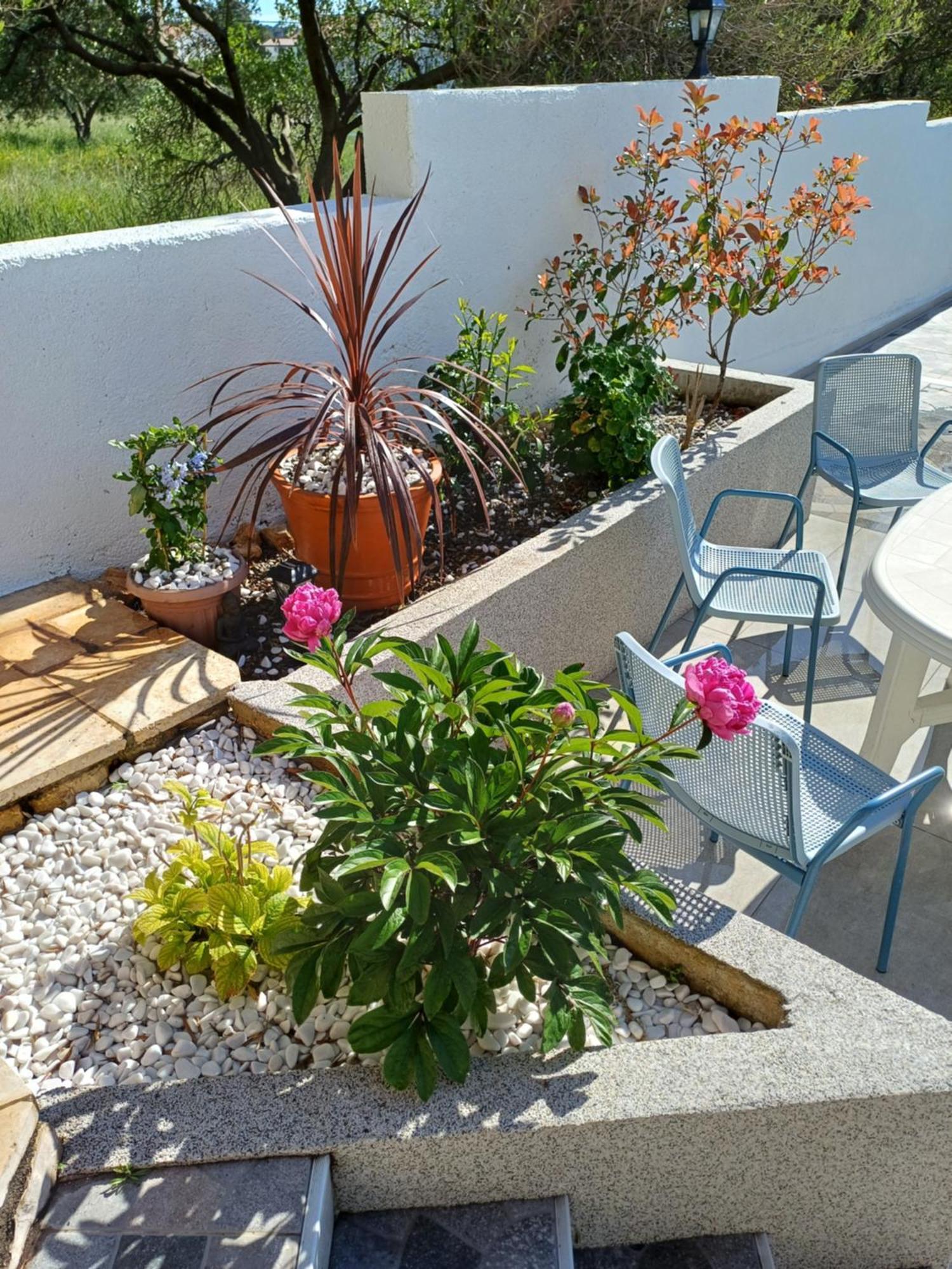Casa Surya - Apartments With Sea View And Swimming Pool Barbat na Rabu Exteriér fotografie
